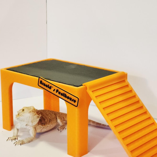 Bearded Dragon Heat & Hide | XL SLATE Topped Bearded Dragon Basking Area