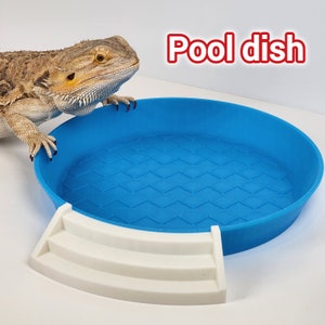 Bearded Dragon and Gecko Baby Pool Water/Greens bath spot dish | Bearded dragon reptile decoration