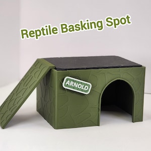 Slate Topped Rocky Basking spot for Small Reptiles | Bearded Dragon Basking Spot with Slate, Ramp, And personalized name sign