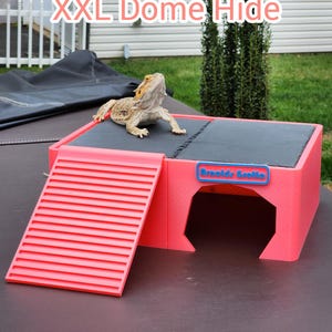 May include: A pink XXL Dome Hide for reptiles, featuring a ramp and a hideaway. A bearded dragon is perched on top. The hide has a black top and a blue and white label that reads "Arnold's Grotto".