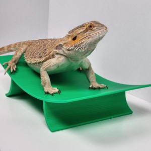 Bearded Dragon Hammock: PLA Plastic Reptile Lounger