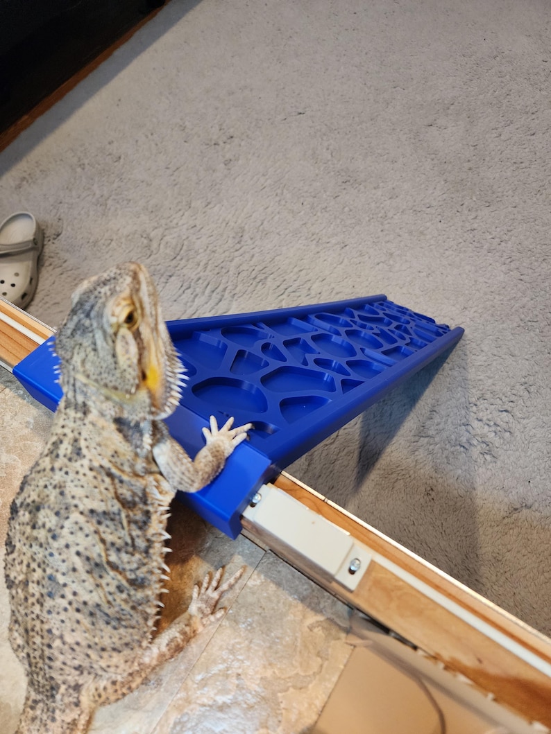 Fully Custom Bearded Dragon Access Ramp. XXL - Etsy