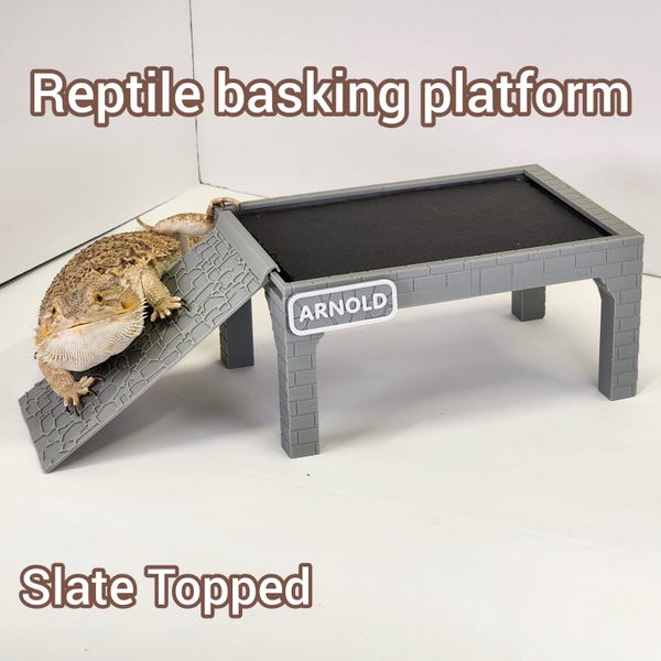 Small Bearded Dragon Castle: Slate Reptile Basking Perch