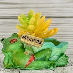 May include: Green frog planter with a welcome sign and a yellow succulent plant.