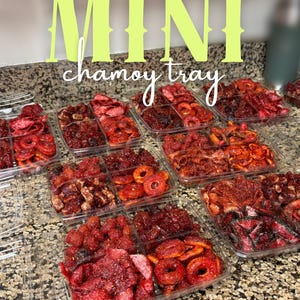 CHAMOY MINI TRAY, artisanal chamoy, mexican candy, personalized, spicy chamoy candy, chili tamarind, dulces enchilados