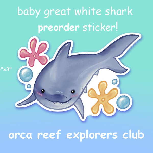 PREORDER | Baby Great White Shark Sticker 4"