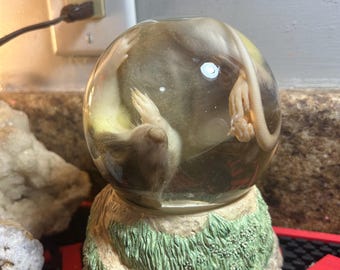 May include: A clear, spherical glass paperweight containing a preserved animal. The base is decorated with green and beige textured details. The animal inside is light brown and tan.