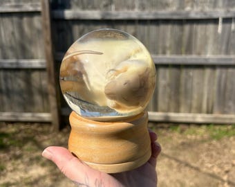 May include: A clear glass sphere with a small, preserved rodent inside. The sphere is sitting on a wooden base.