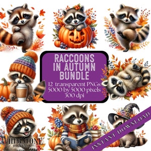 Racoons in Autumn Clipart Bundle, Autumn PNG Bundle, Fall Raccoons PNGs, Raccoon Nursery Art, Fall Art, Commercial Use, Digital Download