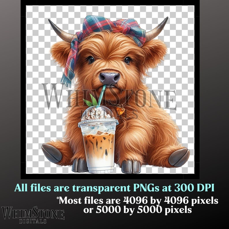 K&ouml;nnte beinhalten: Eine Illustration eines flauschigen braunen Hochlandrindes mit einem rot-blauen karierten Kopftuch, das einen Eiskaffee aus einem durchsichtigen Plastikbecher mit Strohhalm trinkt. Der Text WHIMSTONE DIGITALS liegt &uuml;ber dem Brustbereich des Rindes.