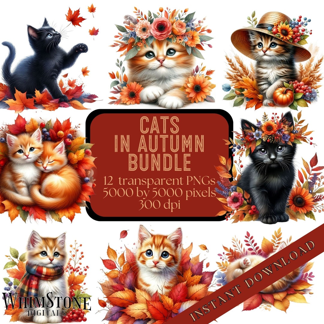 Cats in Autumn Clipart Bundle, Autumn PNG Bundle, Fall Cat Pngs, Kitten ...