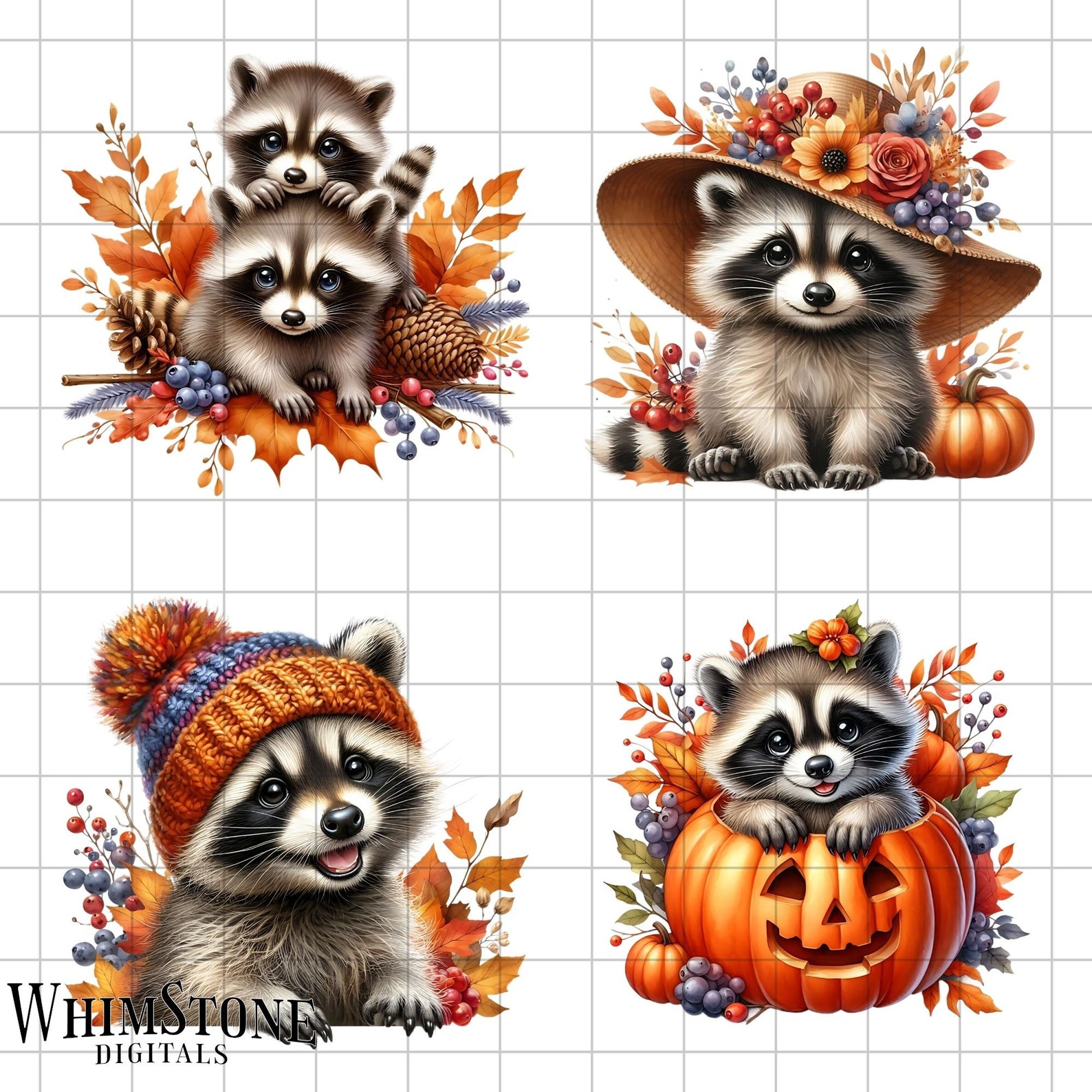 Racoons in Autumn Clipart Bundle, Autumn PNG Bundle, Fall Raccoons Pngs ...