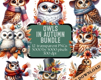 Owls in Autumn Clipart Bundle, Autumn PNG Bundle, Fall Owls PNGs, Owl Nursery Art, Fall Art, Commercial Use, Digital Download