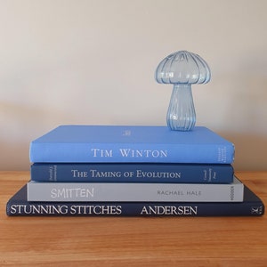 Blue & White Display Book Stack Calming Coastal Home Decor, Coffee Table Book Shelf Hardback Collectable Books, Books for Decor