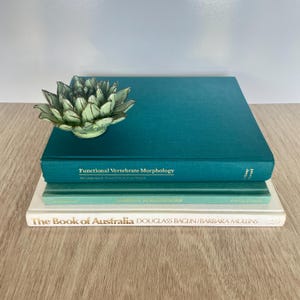 May include: A ceramic succulent sculpture in shades of pale green with dark veining sits atop a stack of three books. The top book is teal with the title Functional Vertebrate Morphology, the middle is light green, and the bottom is white with The Book of Australia.