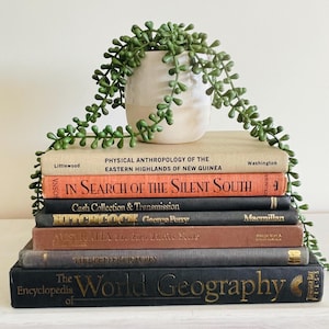 Earthy Vintage Book Stack – Geography, Travel, Exploration & Natural Hues