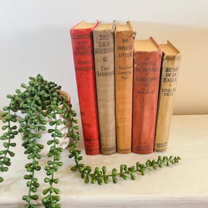 Rustic Vintage Book Set | Weathered Neutrals & Red Spines, Farmhouse Shelf Styling, Earthy Book Stack, Country Cottage Decor