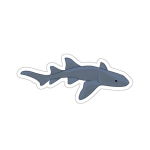 Pode incluir: Um tubarão azul com um focinho pontudo e duas barbatanas dorsais nada para a direita. O tubarão é uma ilustração de desenho animado.