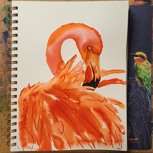 Flamingo