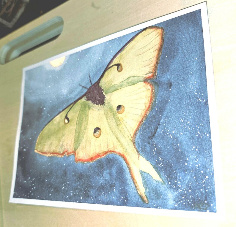 Luna Moth Watercolor Painting - Etsy