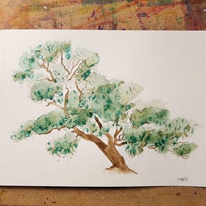 Oak Tree