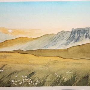 Mountain Meadow Scene