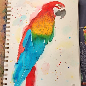 Macaw Parrot
