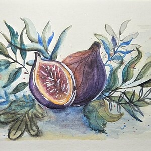 Feigen Aquarellmalerei