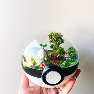 TURTWIG  (Large 5.5inch) Pokeball Diorama Terrarium