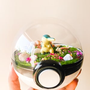 CYNDAQUIL (Large 5.5inch) Pokeball Diorama Terrarium Garden