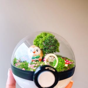 ROWLET (Large 5.5inch) Pokeball Diorama Terrarium