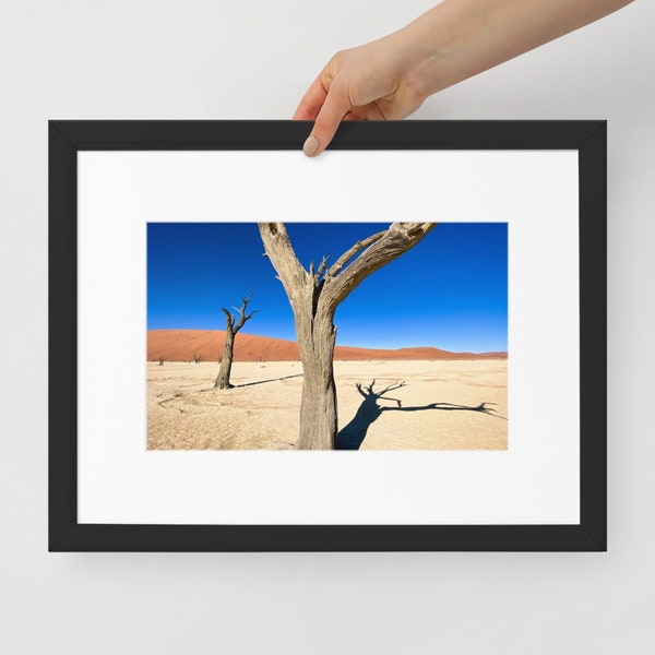 Sossusvlei Namibia, Petrified Desert Trees, Beautiful Framed Color Photograph, Art Print