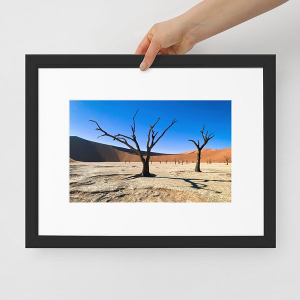 Sossusvlei Namibia, Petrified Desert Trees, Beautiful Framed Color Photograph, Art Print