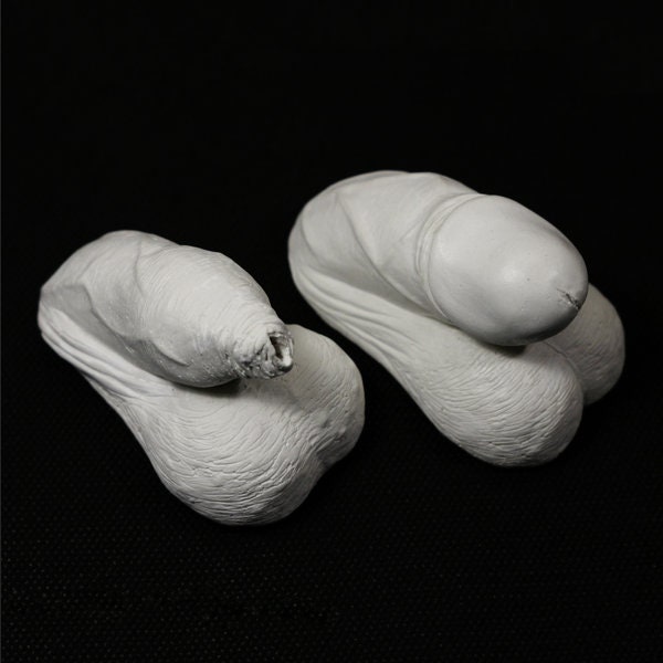 Pene pequeño flácido – Conjunto de dos – Escultura erótica de pene en yeso, para adultos, mayores de 18 años