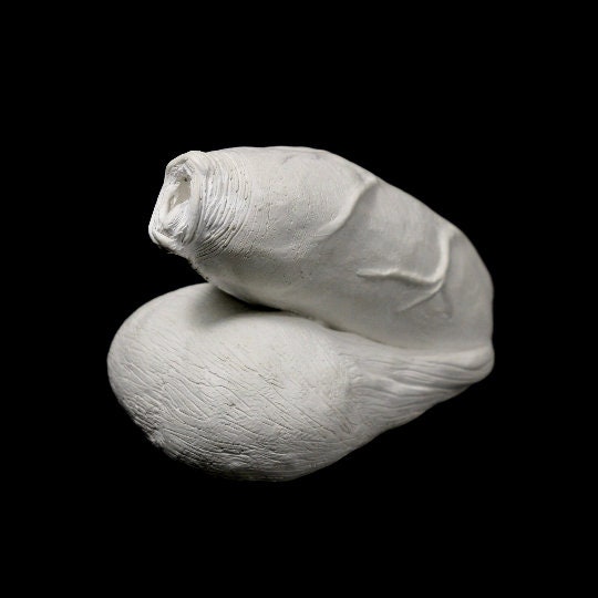 flaccid-penis-life-size-erotic-art-plaster-cast-penis-sculpture