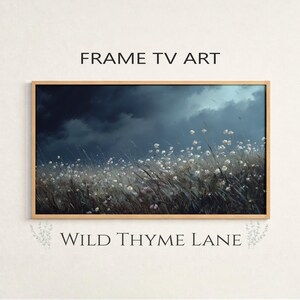 May include: A framed art print featuring a field of white flowers and tall grass under a dramatic, dark blue sky. The words "FRAME TV ART" and "WILD THYME LANE" are printed on the frame.