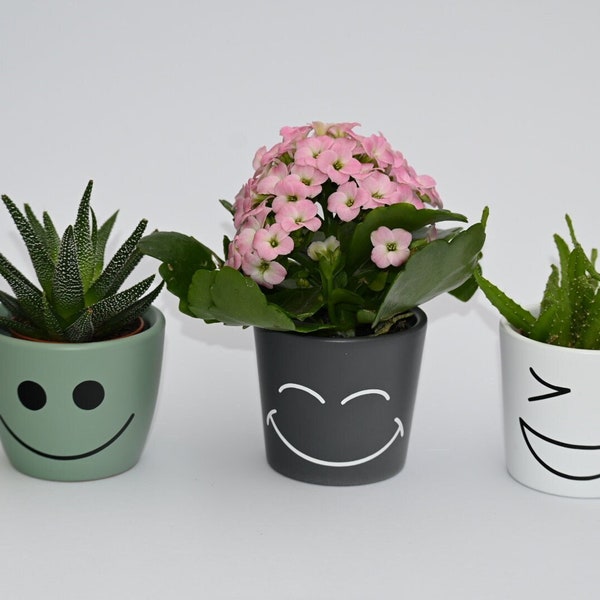 Kleine Blumentöpfe mit lustigen Gesichtern | Geschenkidee | Sukkulenten | Kaktus | Übertopf | Gesicht | Ø 7-7,5cm