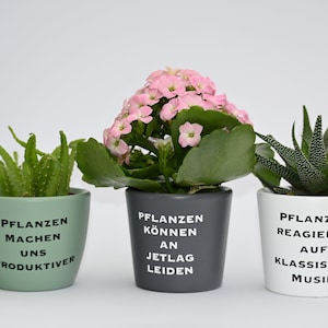 Könnte beinhalten: Drei Topfpflanzen mit Text. Der erste Topf ist hellgrün mit einem Kaktus und dem Text "PFLANZEN MACHEN UNS PRODUKTIVER". Der zweite Topf ist dunkelgrau mit rosa Blüten und dem Text "PFLANZEN KÖNNEN AN JETLAG LEIDEN". Der dritte Topf ist weiß mit einer stacheligen Pflanze und dem Text "PFLANZEN REAGIEREN AUF KLASSISCHE MUSIK".