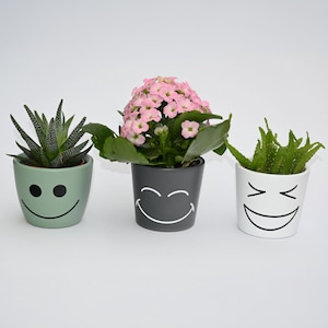 Kleine Blumentöpfe mit lustigen Gesichtern | Geschenkidee | Sukkulenten | Kaktus | Übertopf | Gesicht | Ø 7-7,5cm