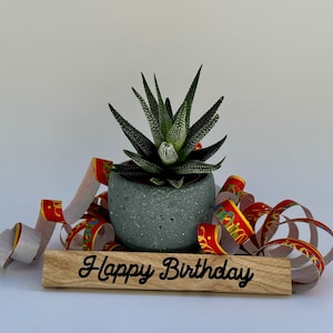 Happy Birthday | Geburtstag | Holzschild | Geschenk | Holz | Geschenkidee