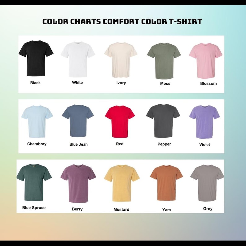 Retro Mandalorian and Grogu Shirt, Comfort Colors Tee, Mandalorian Graphic Tee, Star Wars Bounty Hunter Shirt, Birthday Gift for Her