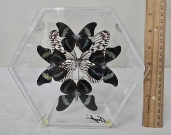 il_340x270.7124940309_eunx.jpg