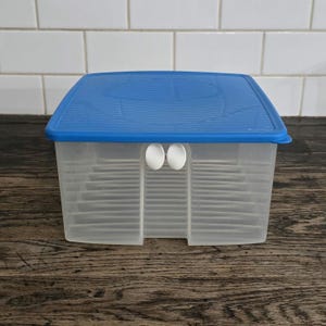 May include: A clear plastic storage container with a blue lid and white latches. The container has multiple compartments for organizing items.