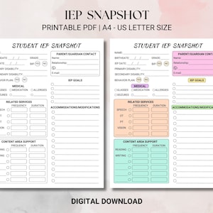 IEP Snapshot Page|Special Education Printable|IEP Summary Sheets|IEP Meeting Summary for Parents and Teachers