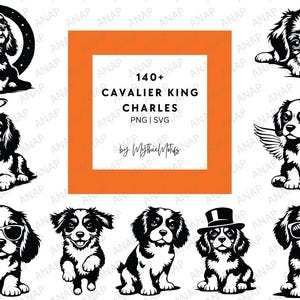 140+ simpatici Cavalier King Charles Spaniel in formato SVG PNG 300 DPI stampabili, decorazione con sfondo trasparente