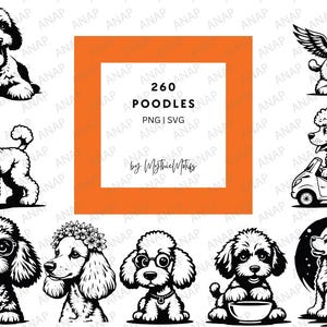 Bundel met 260 poedels Hoge kwaliteit SVG PNG 300 DPI afdrukbare transparante achtergronddecoratie mooie schattige decoratie Pudel