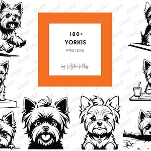 180+ schattige Yorki SVG PNG-bundel 300 DPI hoogwaardige afdrukbare materialen transparante achtergrond prachtige decoratie