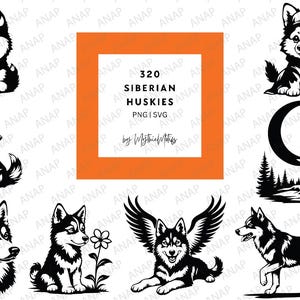 320 Coole Siberische Husky-bundel Hoge kwaliteit SVG PNG 300 DPI Printables Transparante achtergrond Leuke mooie decoratie