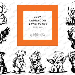 220+ Labrador Retrievers-bundel Hoge kwaliteit SVG PNG 300 DPI Afdrukbare transparante achtergronddecoratie Mooie schattige decoratie