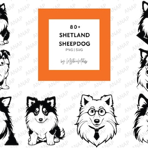 80+ Shetland Sheepdog bundel SVG PNG 300 DPI printables transparante achtergrond prachtige decoratie